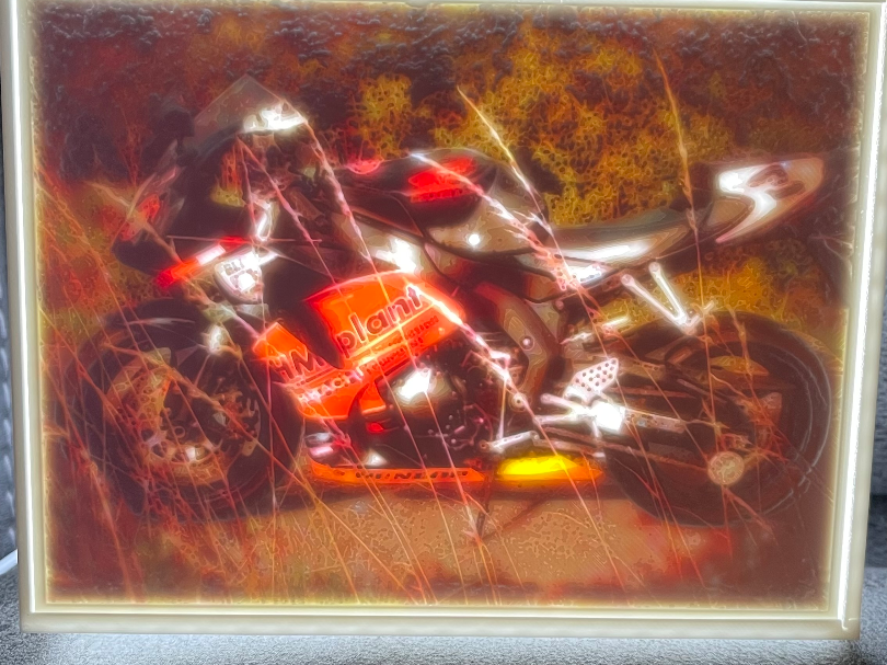 Hm Plant Bike Lithophane
