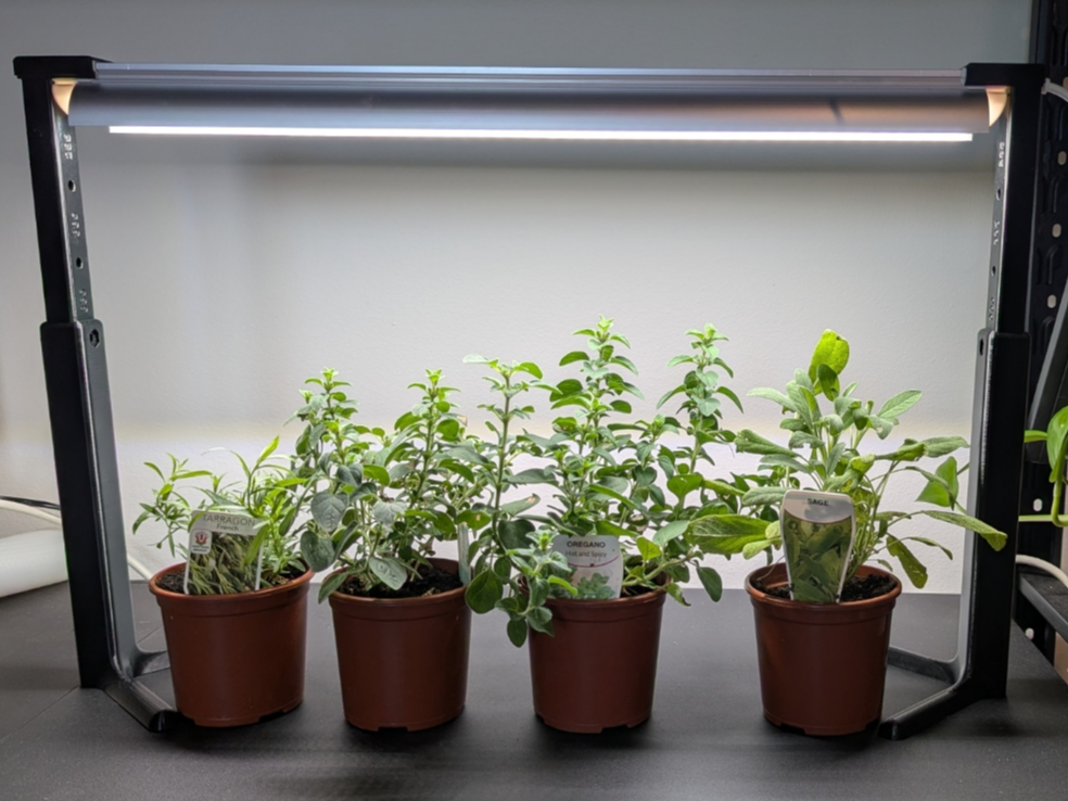 Barrina T8 Plant Grow Light Stand