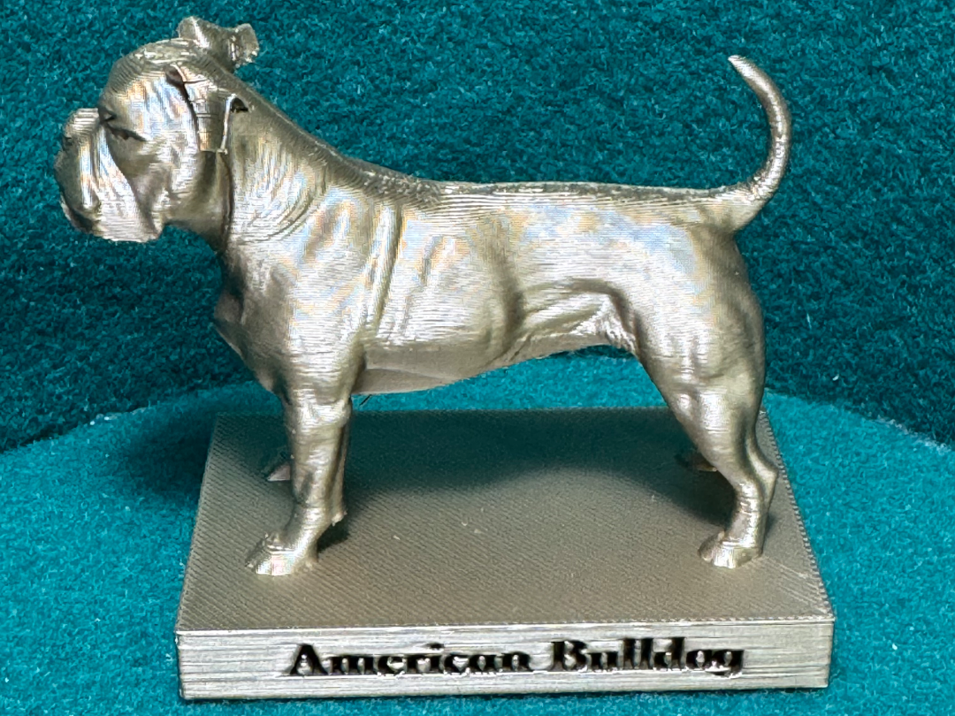 Dog Breeds Minis: American Bulldog (#7 of 80+)