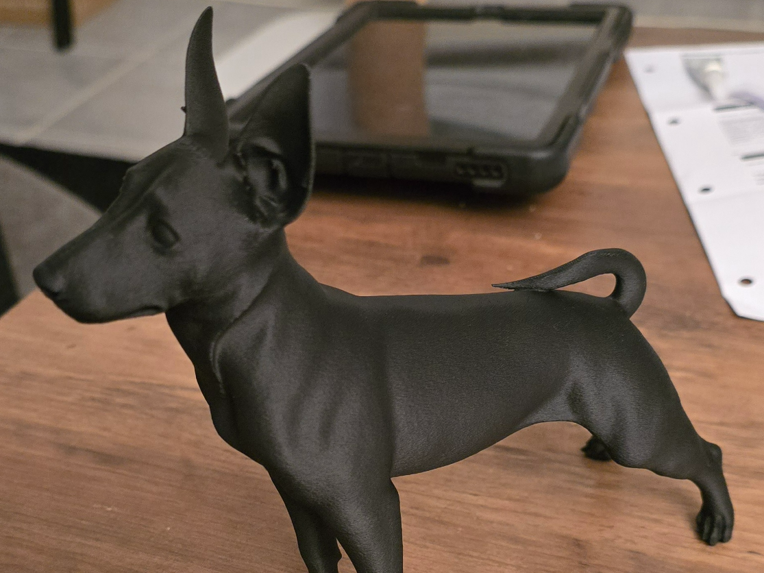 modèle réaliste chien pinscher nain