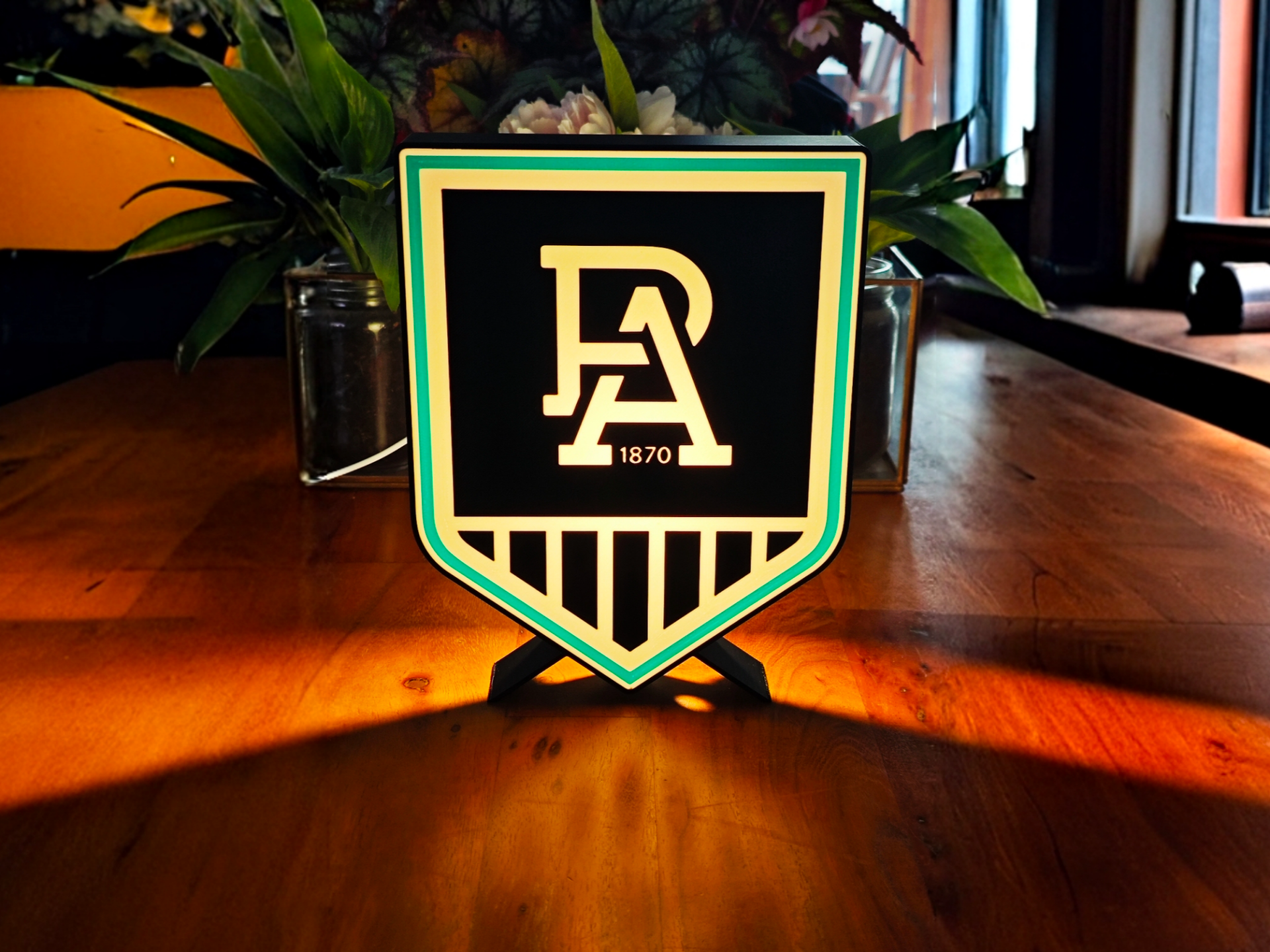 Port Adelaide Power 2025 Lightbox