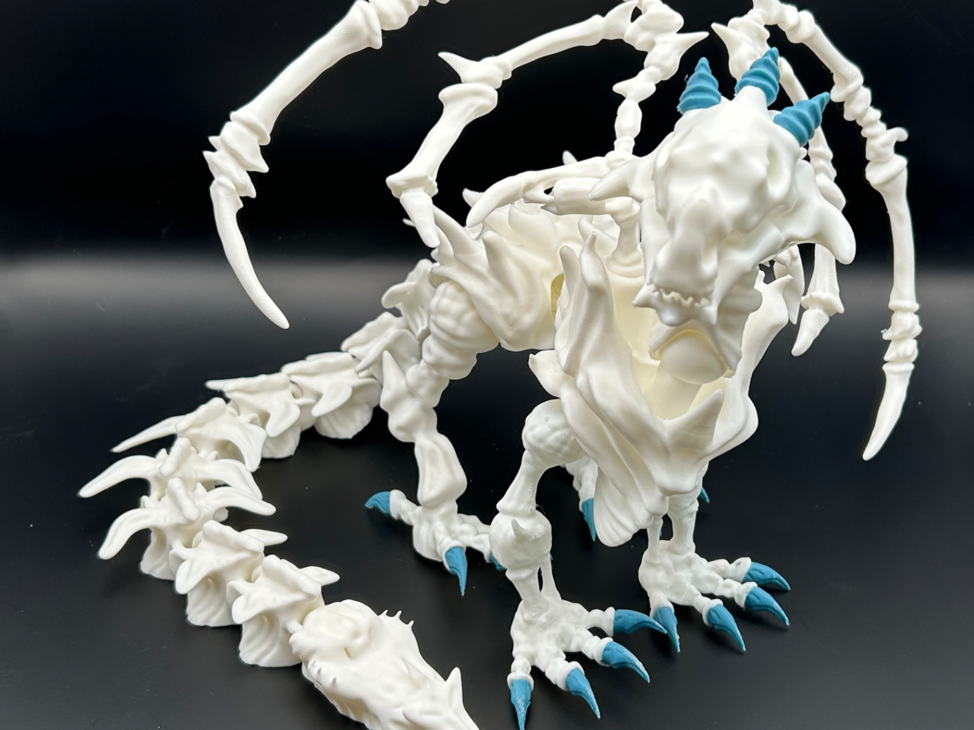Draco Skeleton