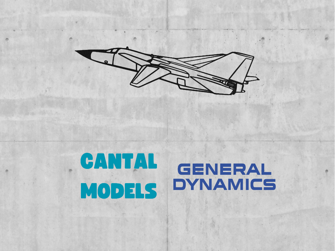 F-111 Aarvark #1 | 2D WALL ART