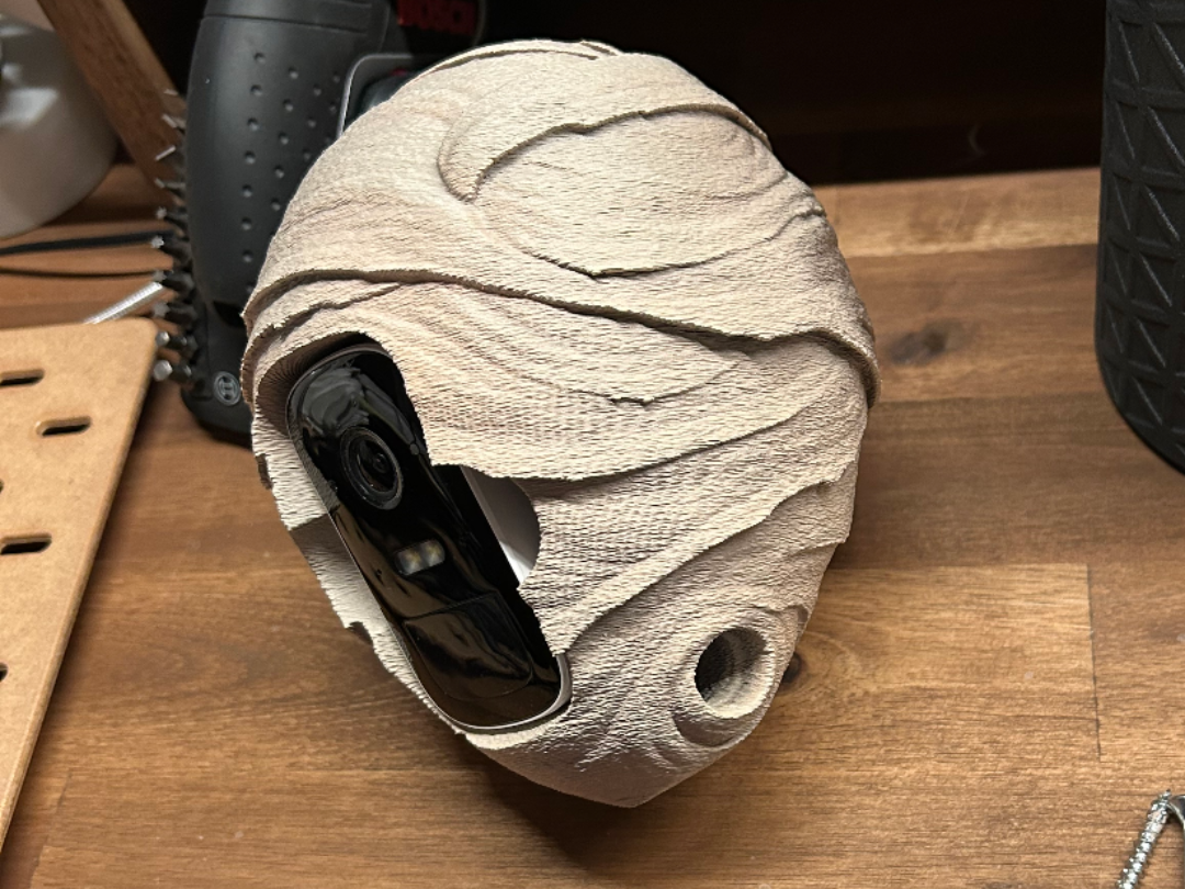 Wasp nest deterrant + EufyCam 2C