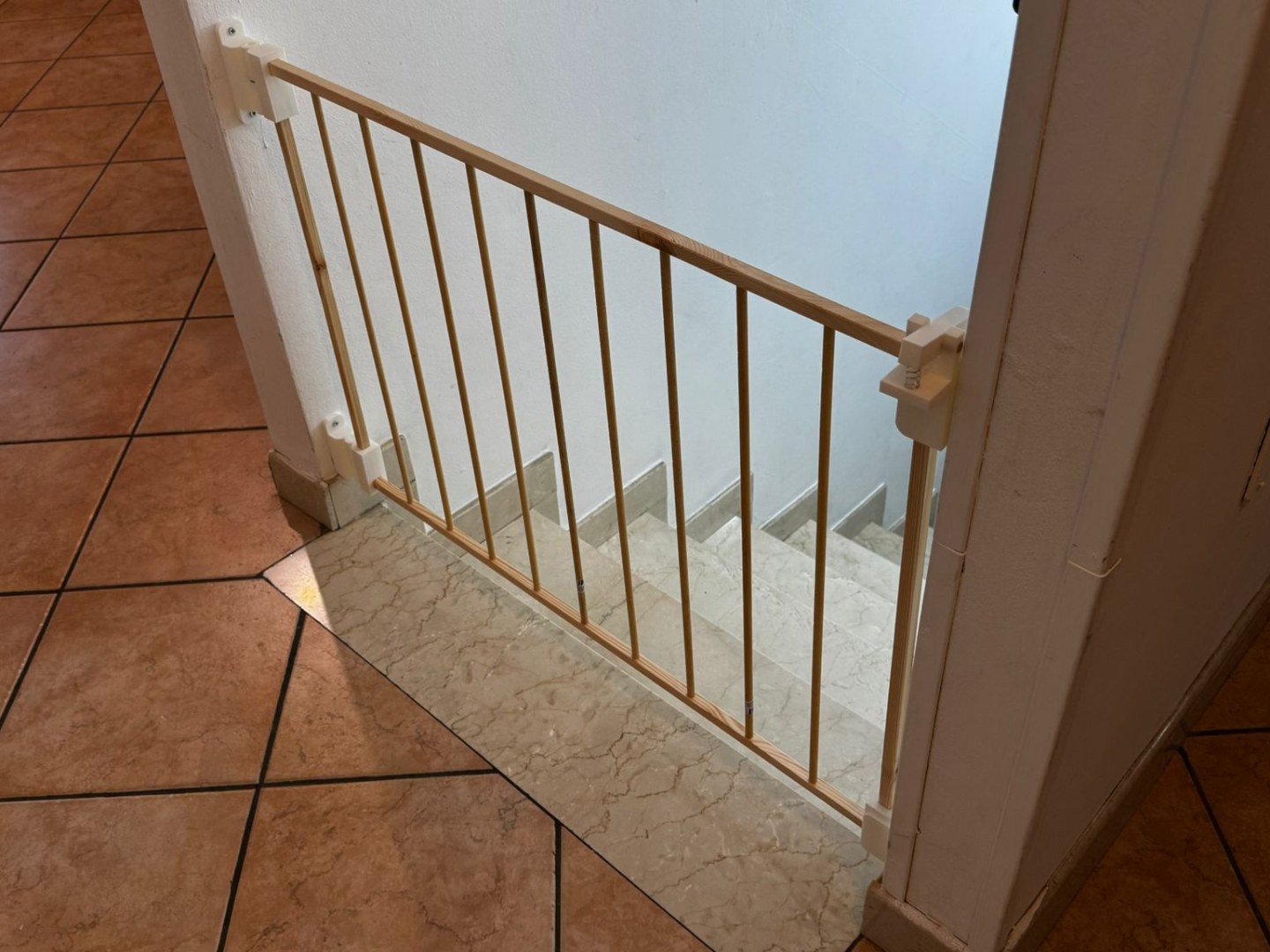 Cancello per cani