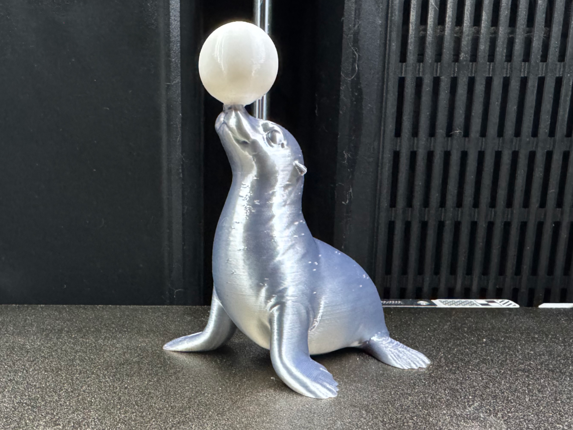 Robbe mit Ball