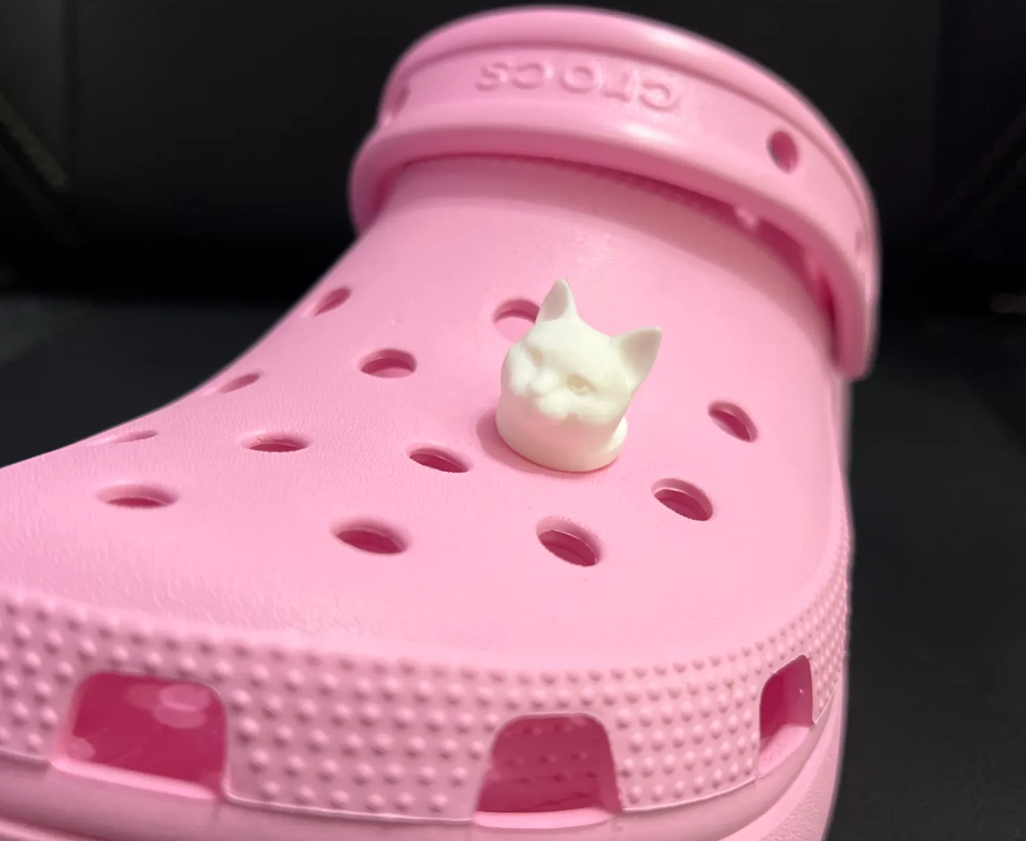Cat Croc Charm