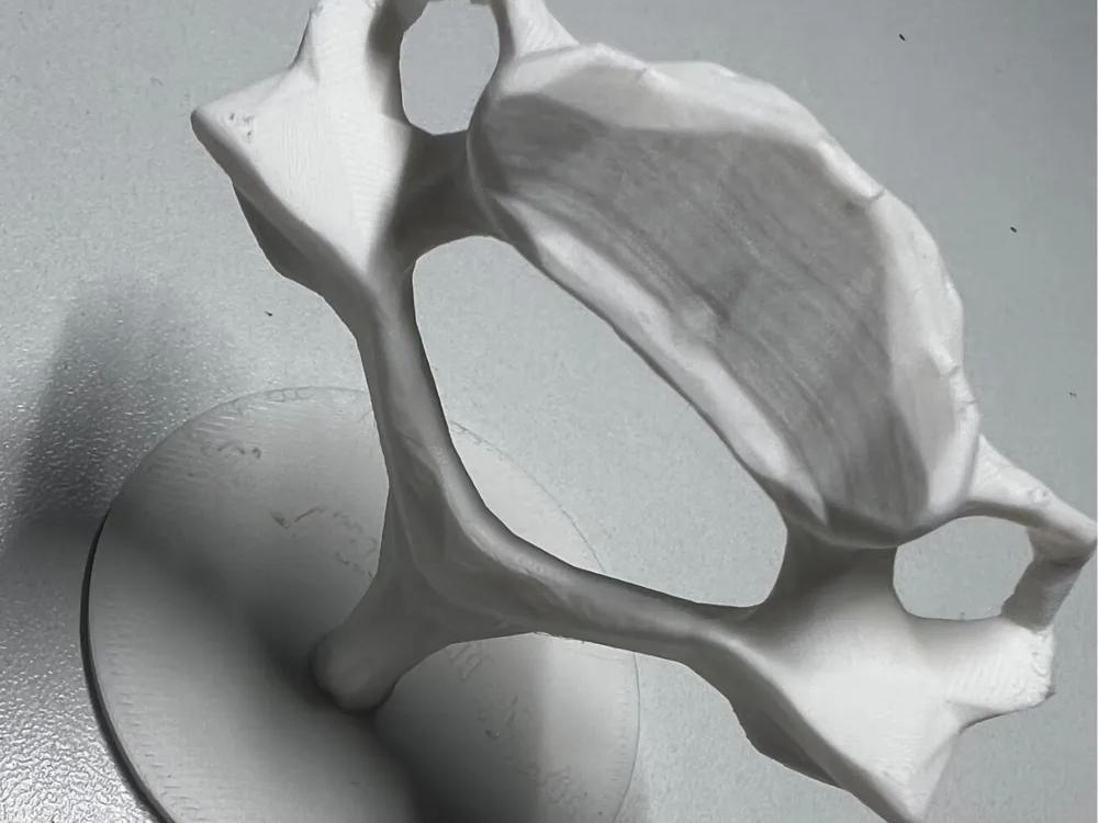Modelo 3d vertebra columna humana