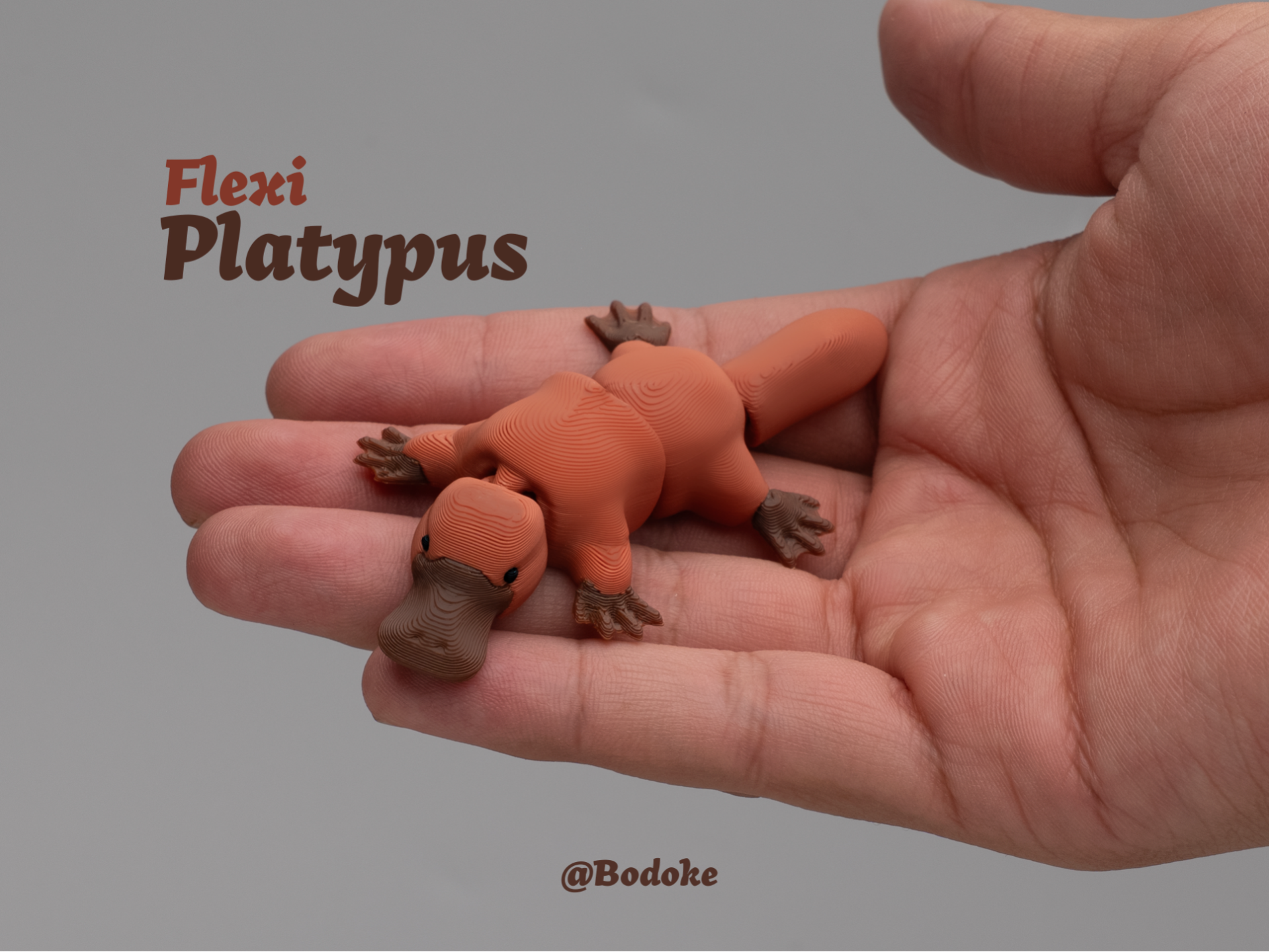 Flexi Platypus - Articulated