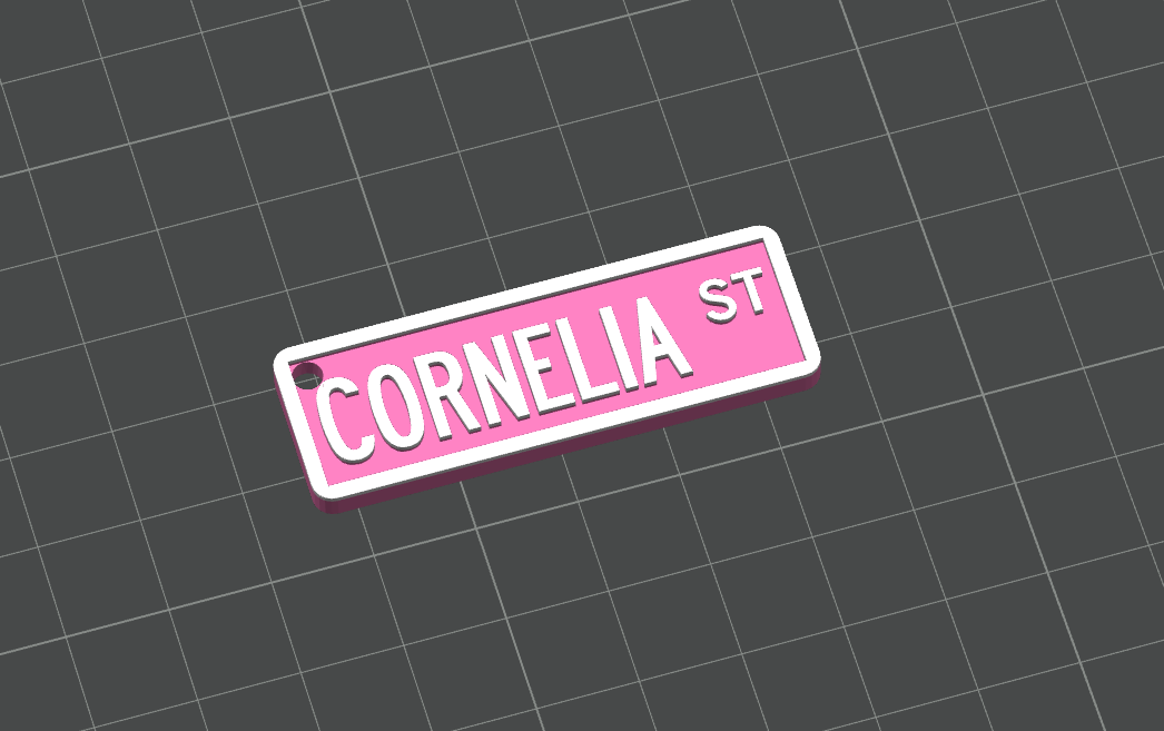 Cornelia Street keychain Taylor Swift