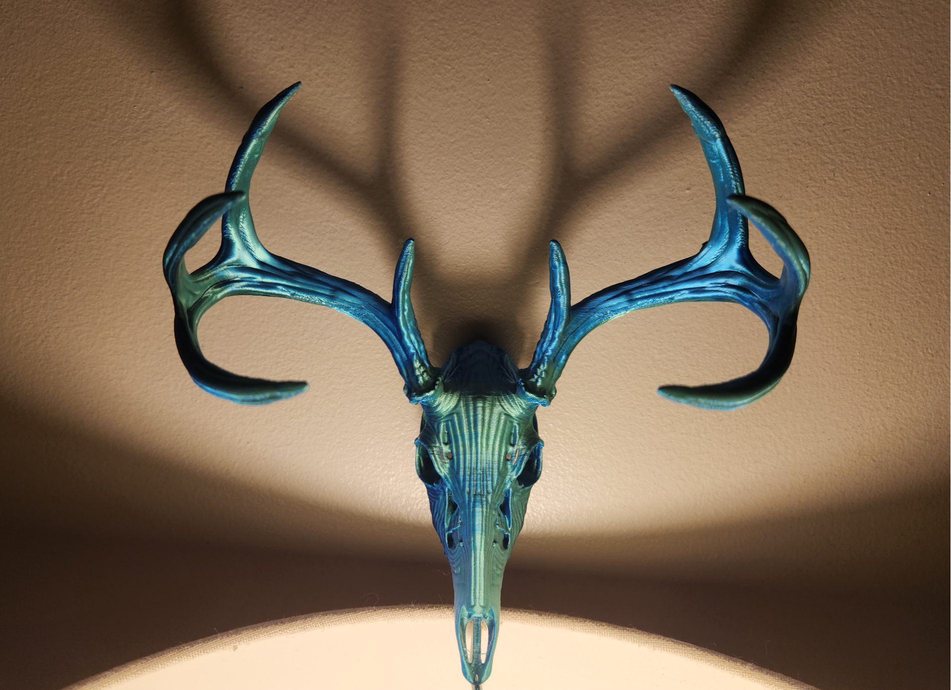 "Bone" Deer Skull