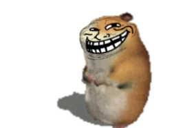 troll face chomik