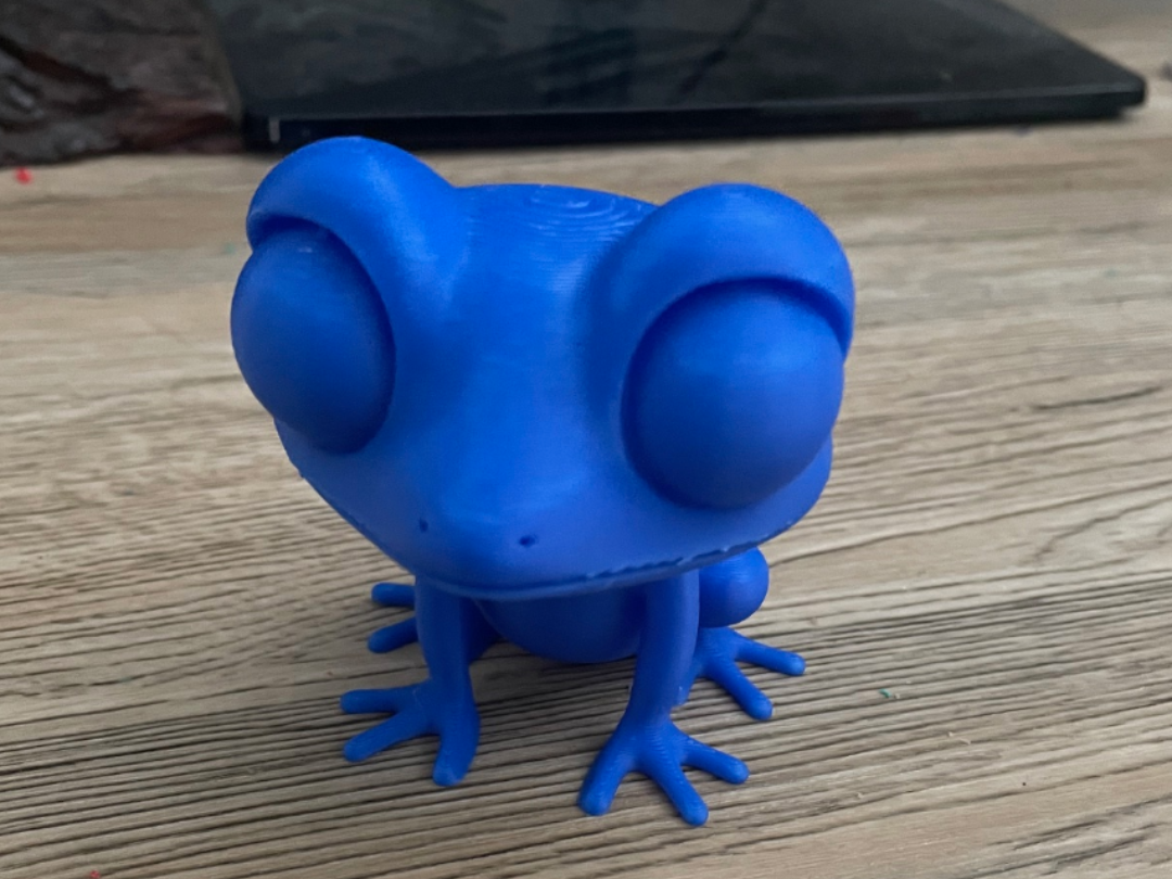 Cute little frog