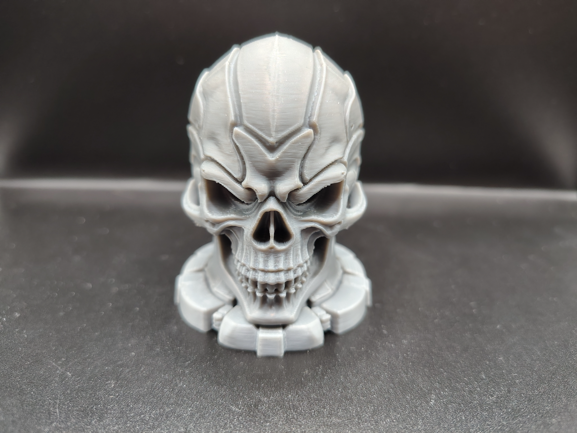 CRAZY Cyber Warrior Skull