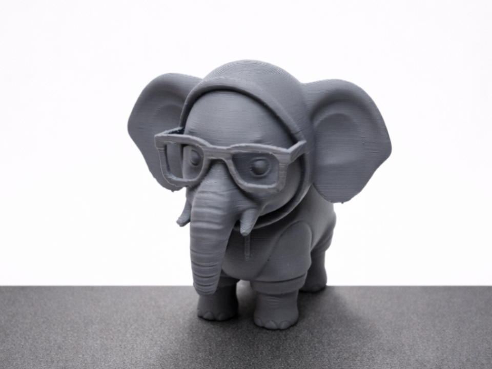 Elefant "Nerdy Trunk" mit klugem Charme