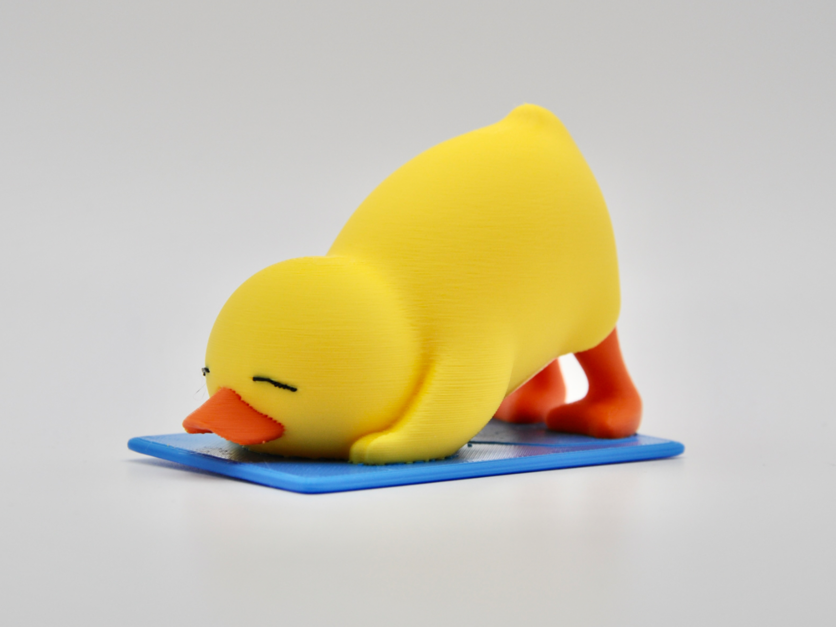 Downward Dog Duck Yoga