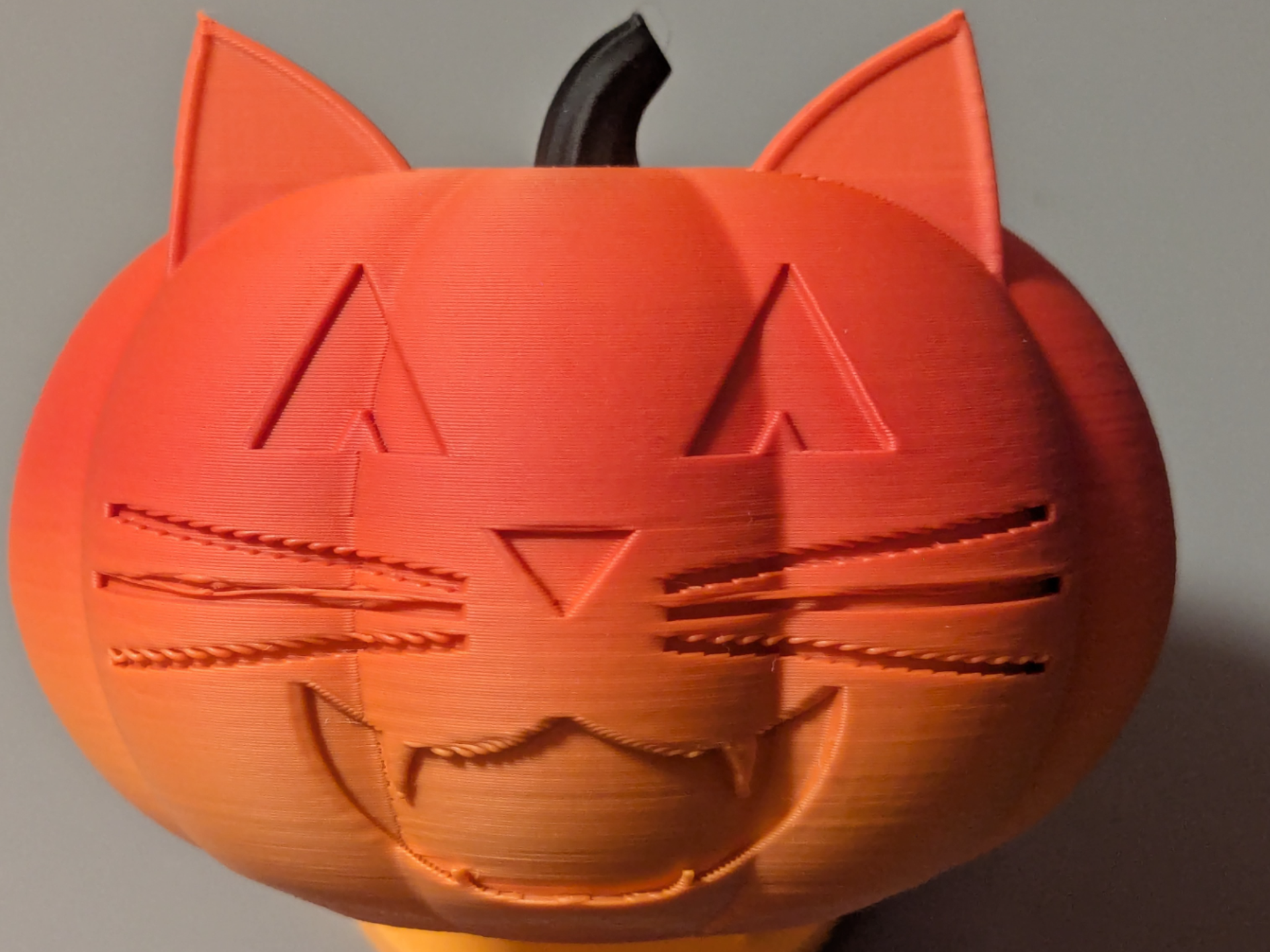 Small Cat Pumpkin