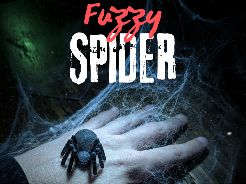Fuzzy Spider