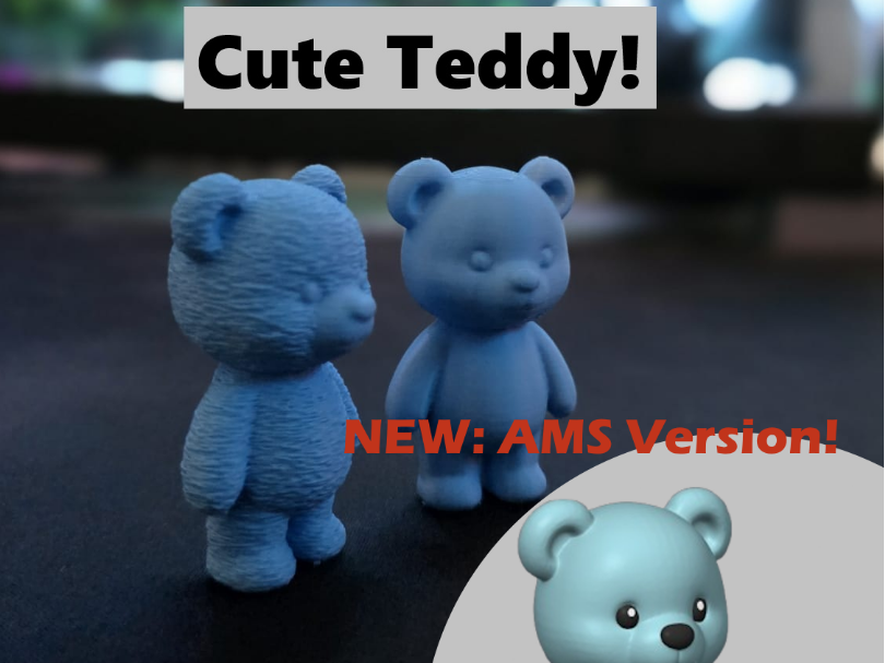 Cute Teddy Fuzzy Skin & Normal