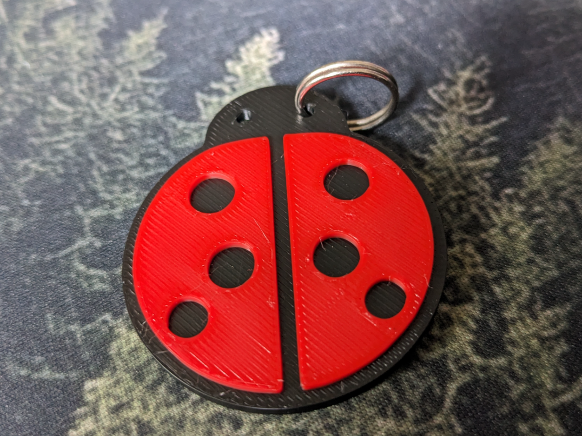 ladybird (biedronka)