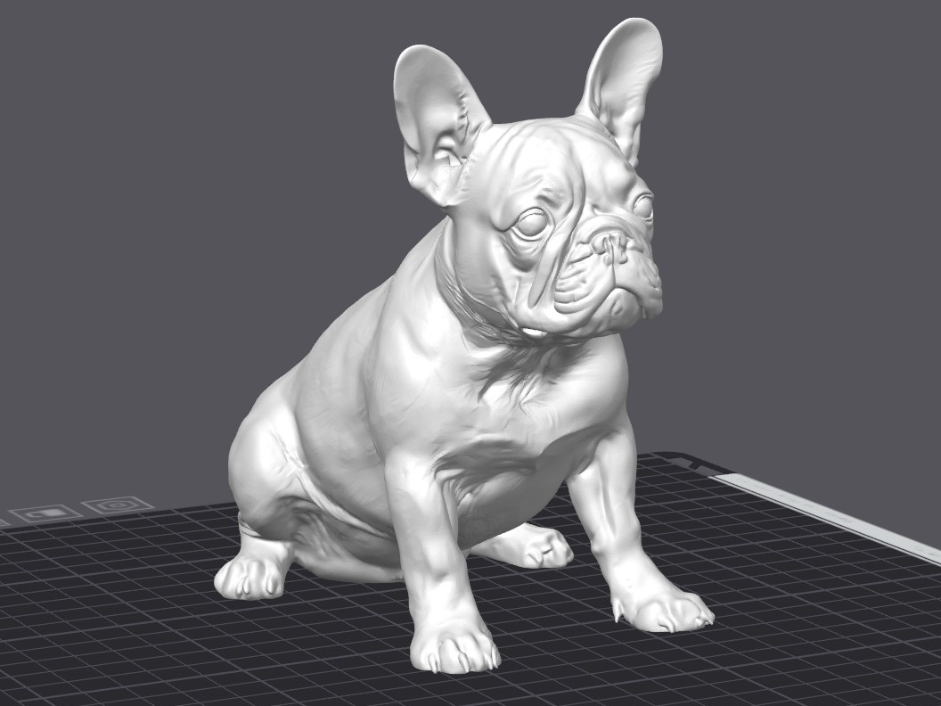 French Buldog