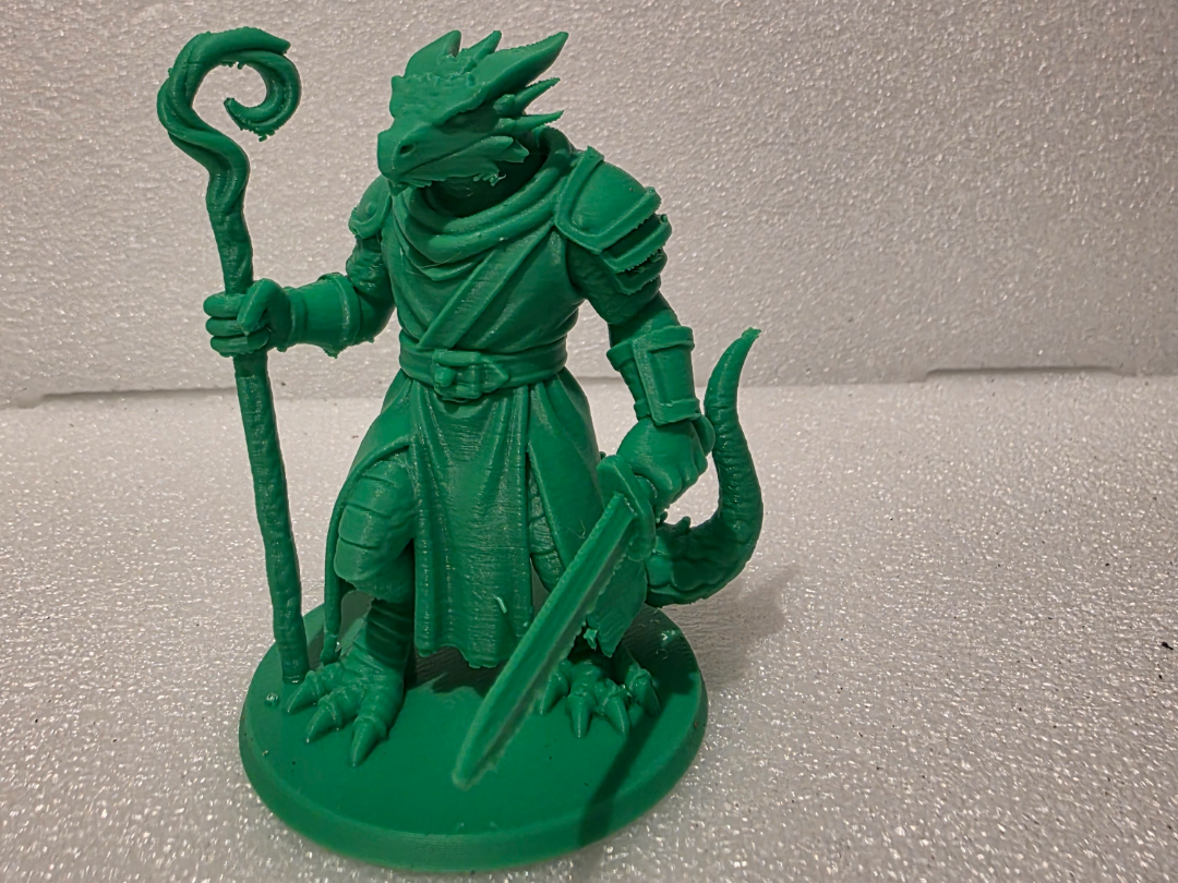 Dragonborn Sorcerer Sentinel