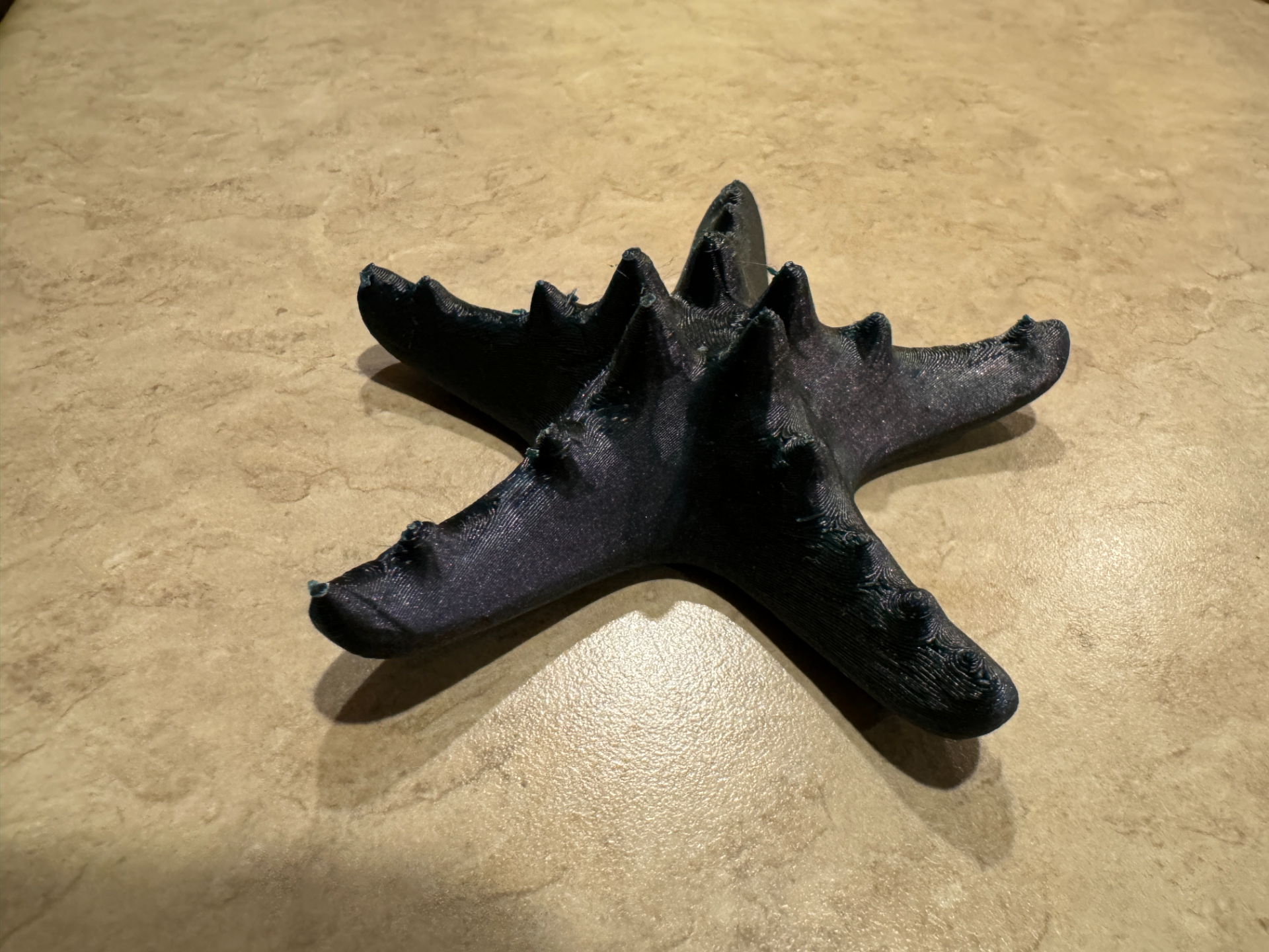 Starfish Decoration