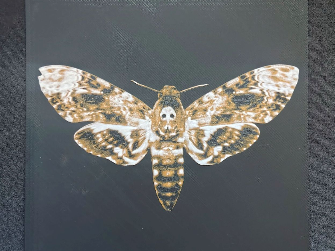 Death's-head hawkmoth HueForge