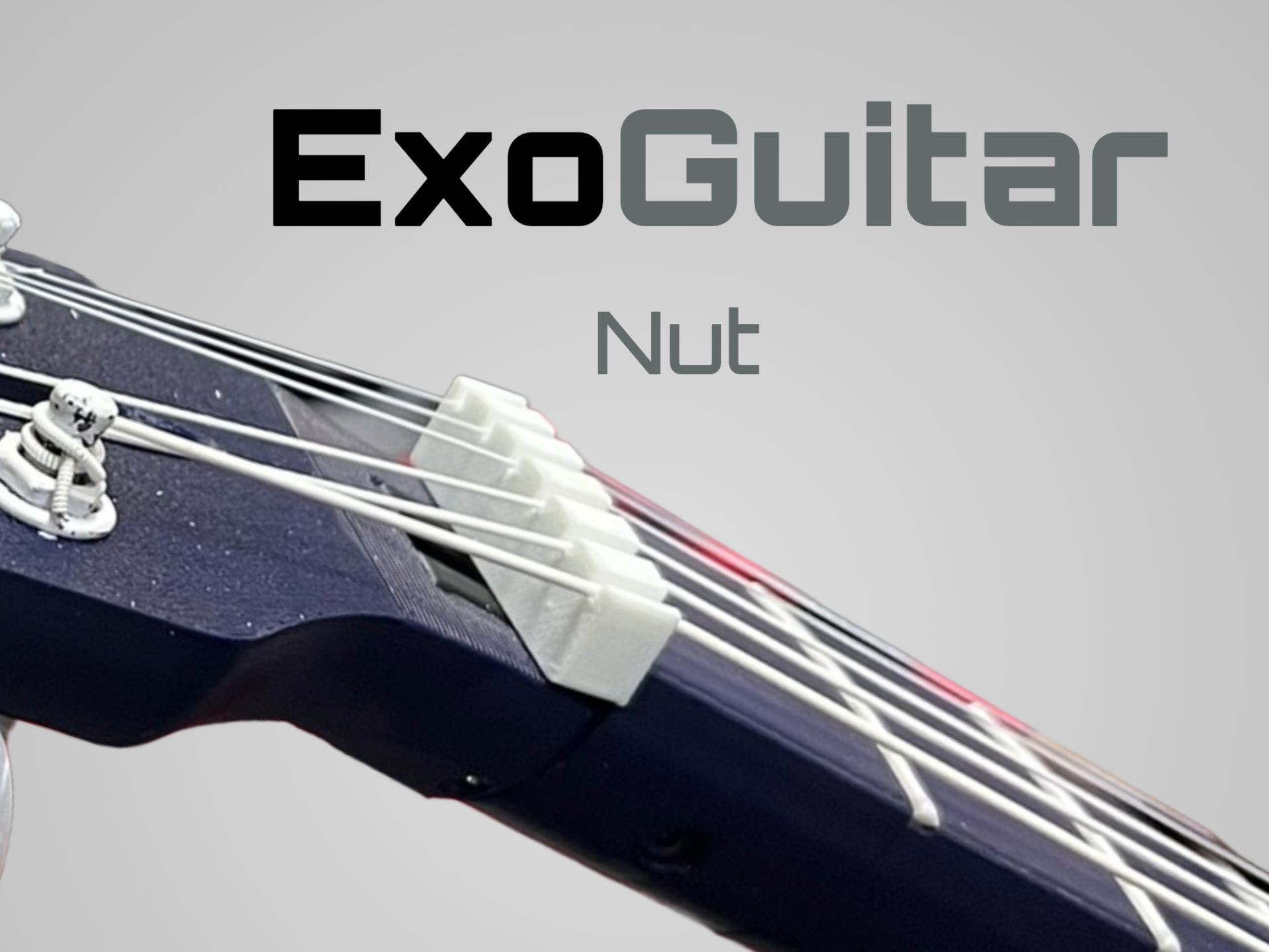 ExoGuitar - Nut