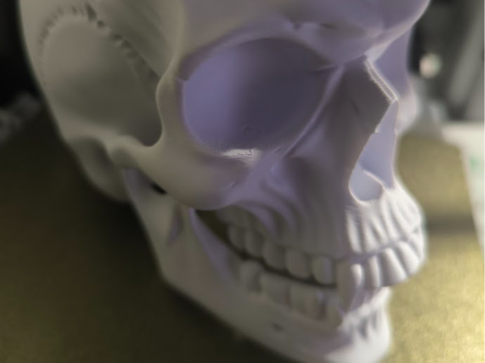 Totenkopf skullhead