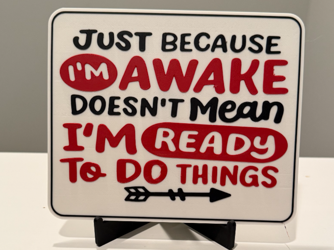 JUST BECAUSE I'M AWAKE DOESN'T MEAN I'M READY TO