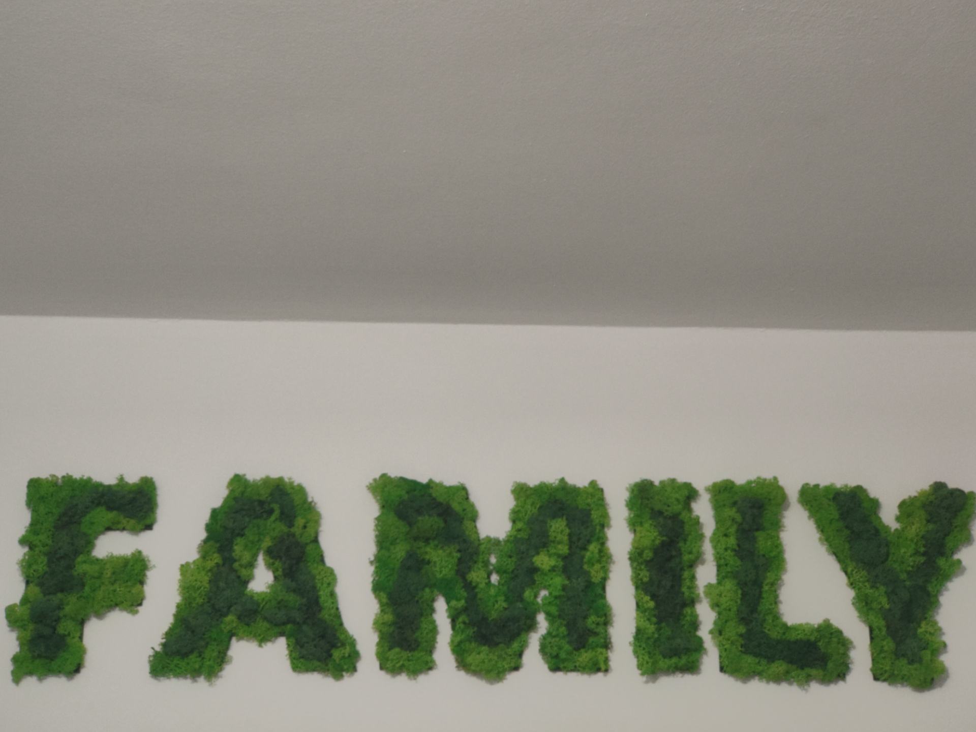 FAMILY 3D Wall Letters – DIY Moss Wall Art