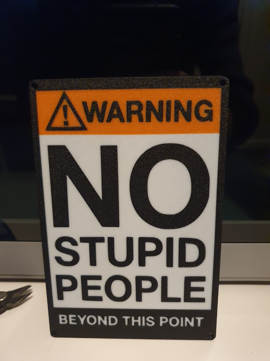 Warning, No stupid people beyond this point wall sign Flat/Planar