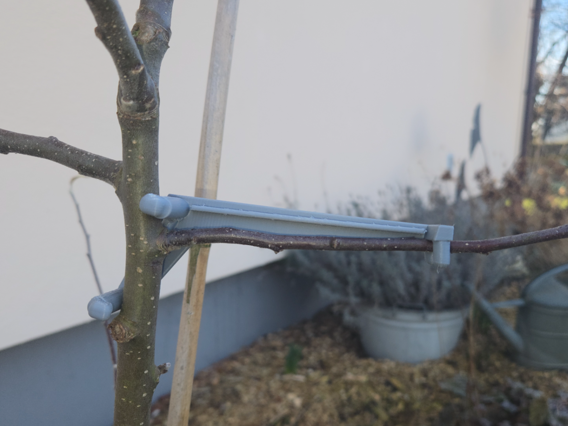 V1 - Formierhilfe Obstjungbaum