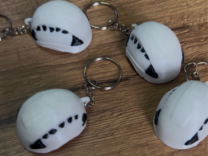 Petzl Safety Helmet Keychain