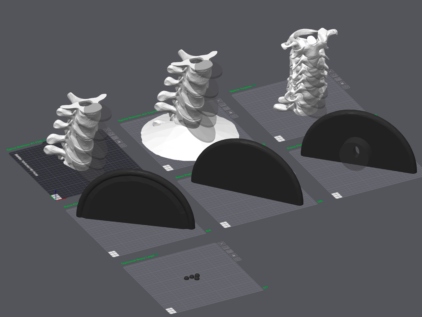 Spine Helmet Stand with cutout options for lights