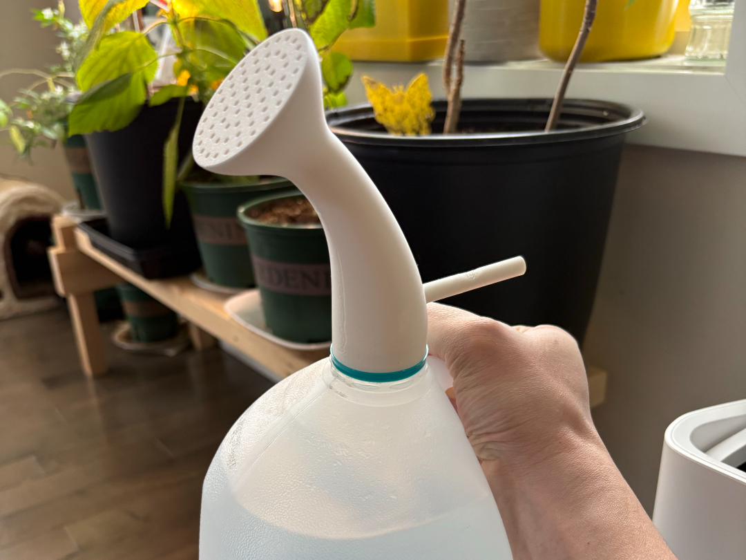 Milk Jug Watering Shower Cap (4L / 1 Gallon)