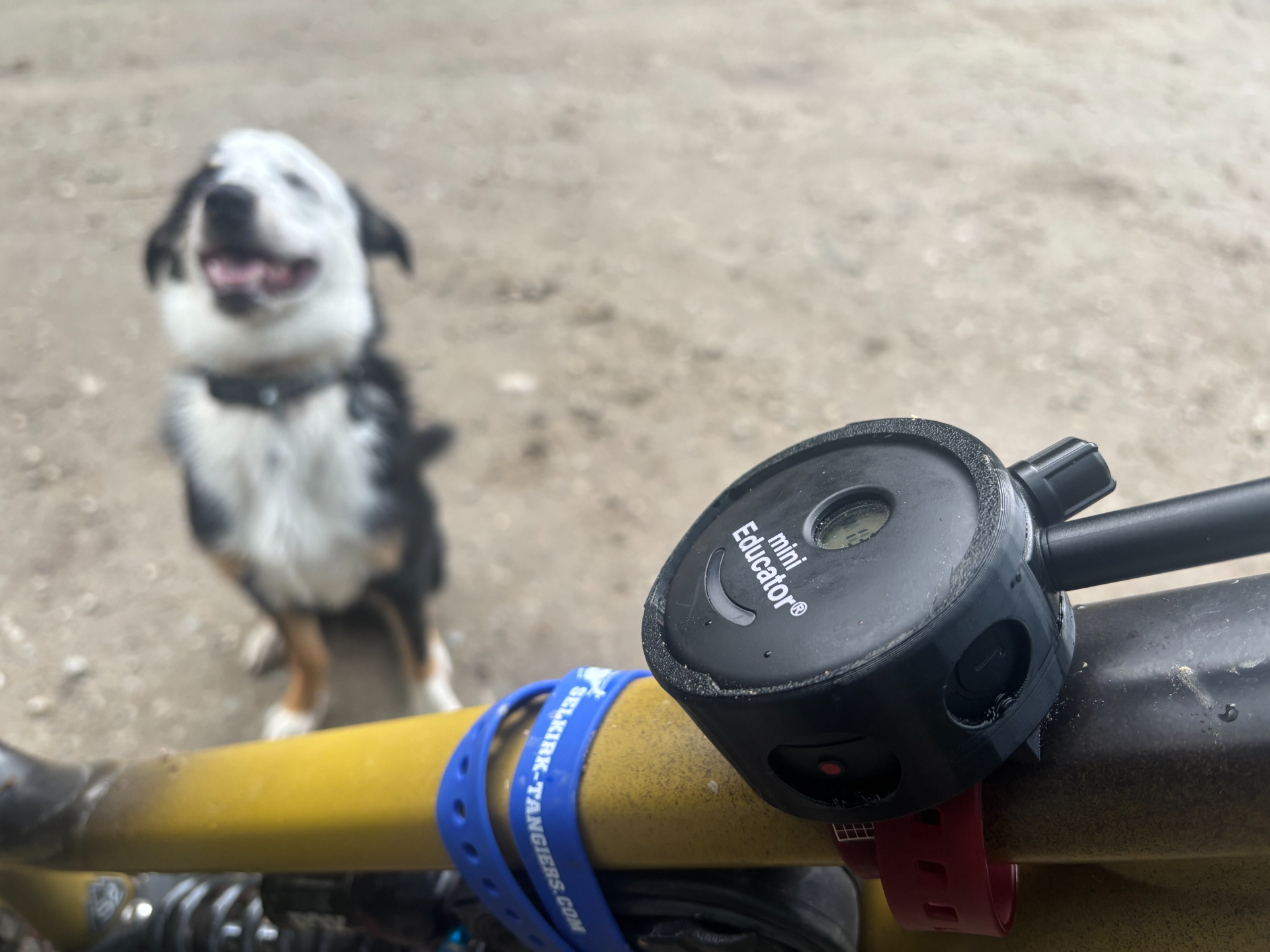 Mini Educator Bike Mount