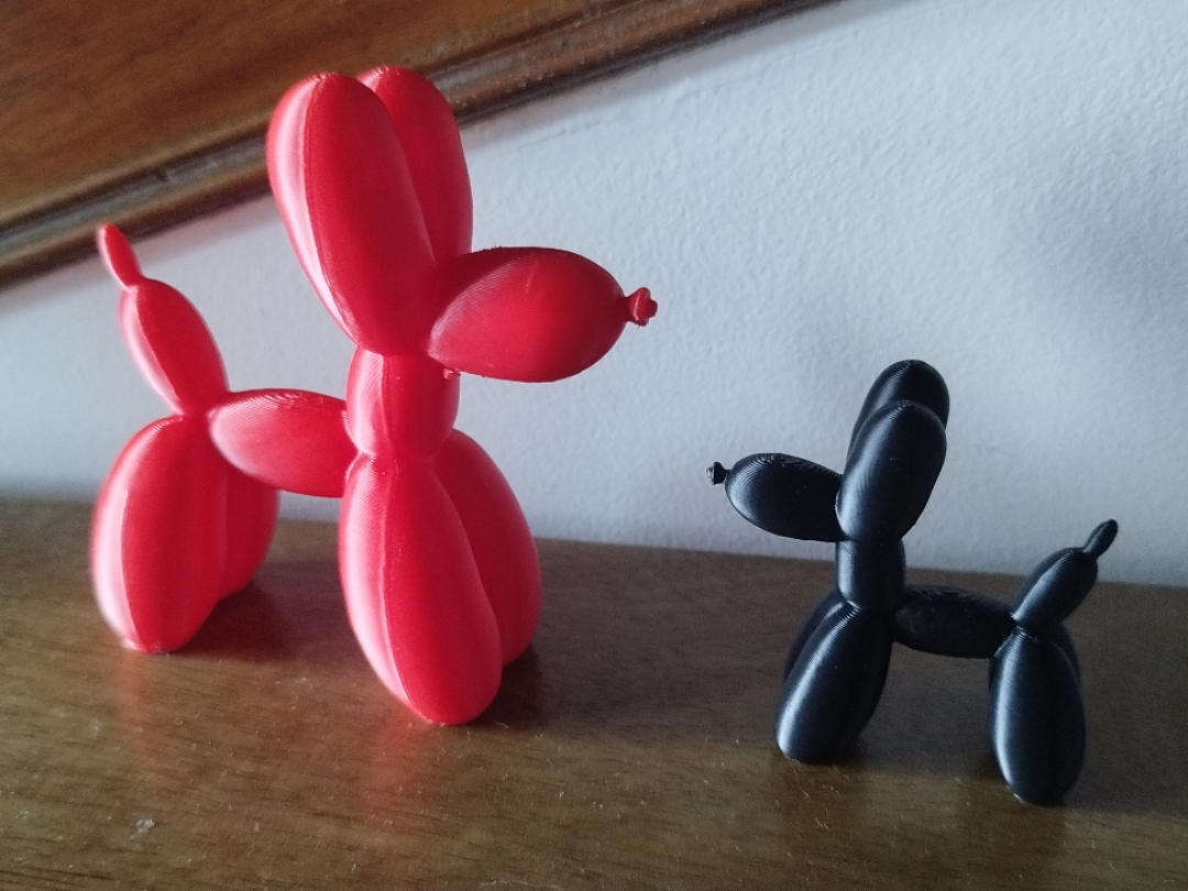 chien ballon