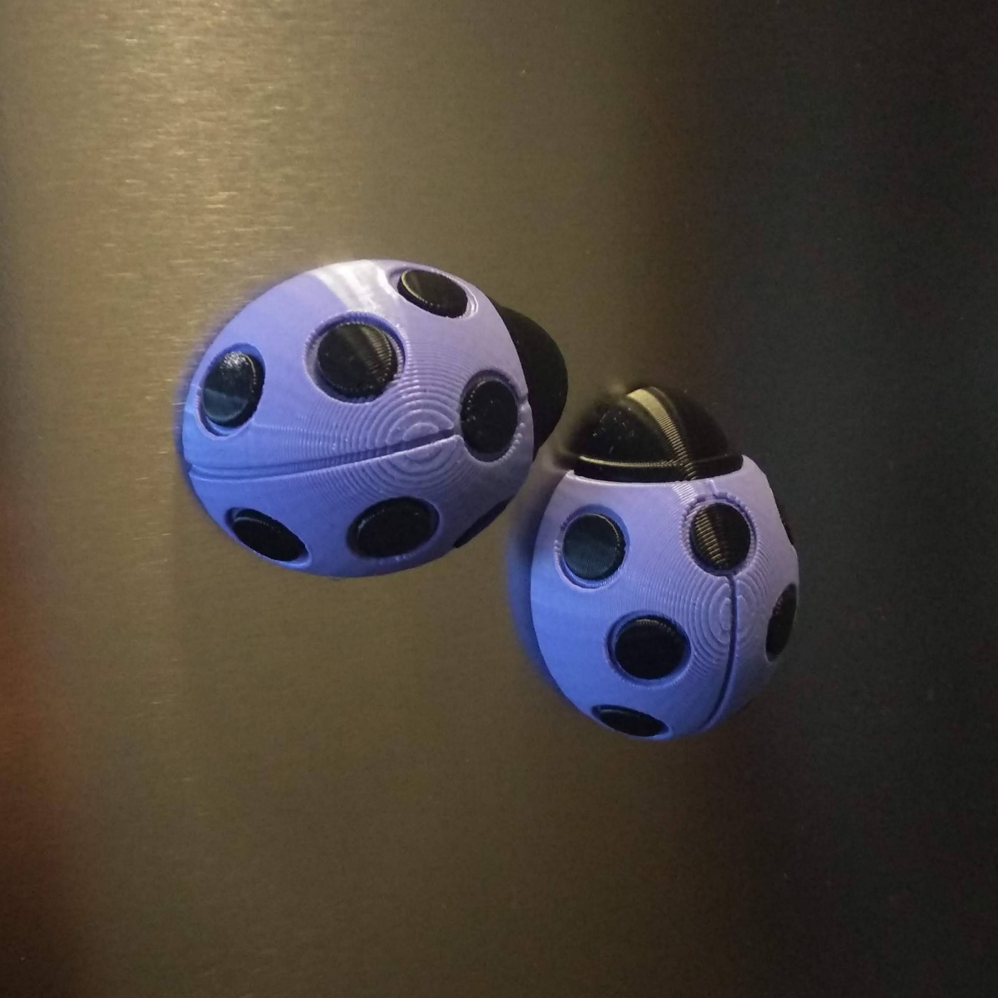 Ladybird / Ladybug Fridge Magnet