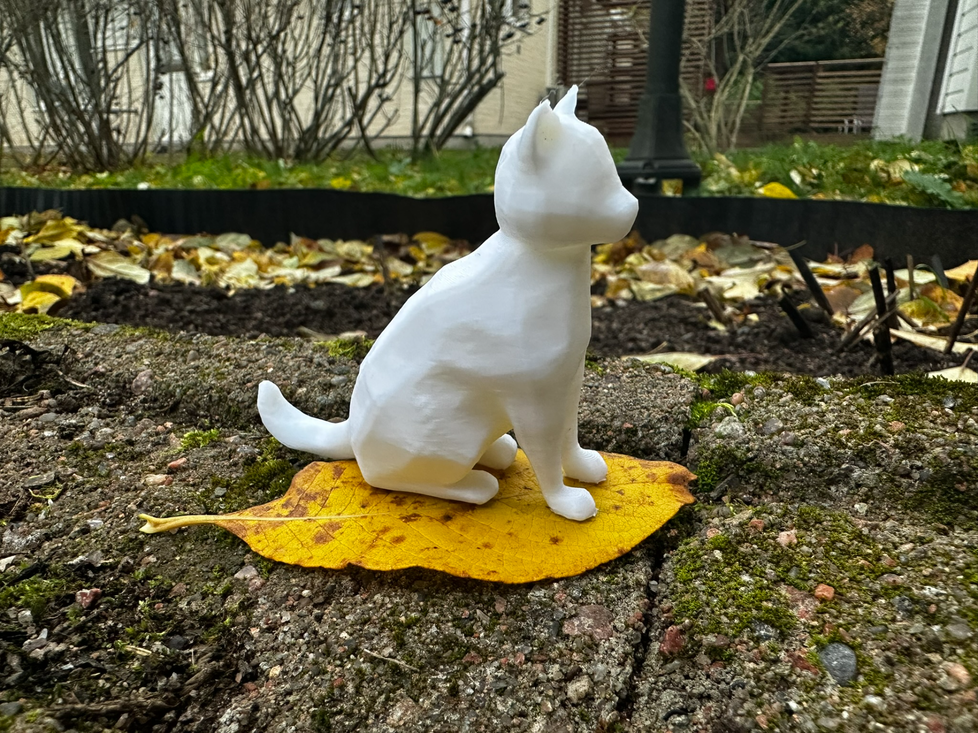 Majestic Cat