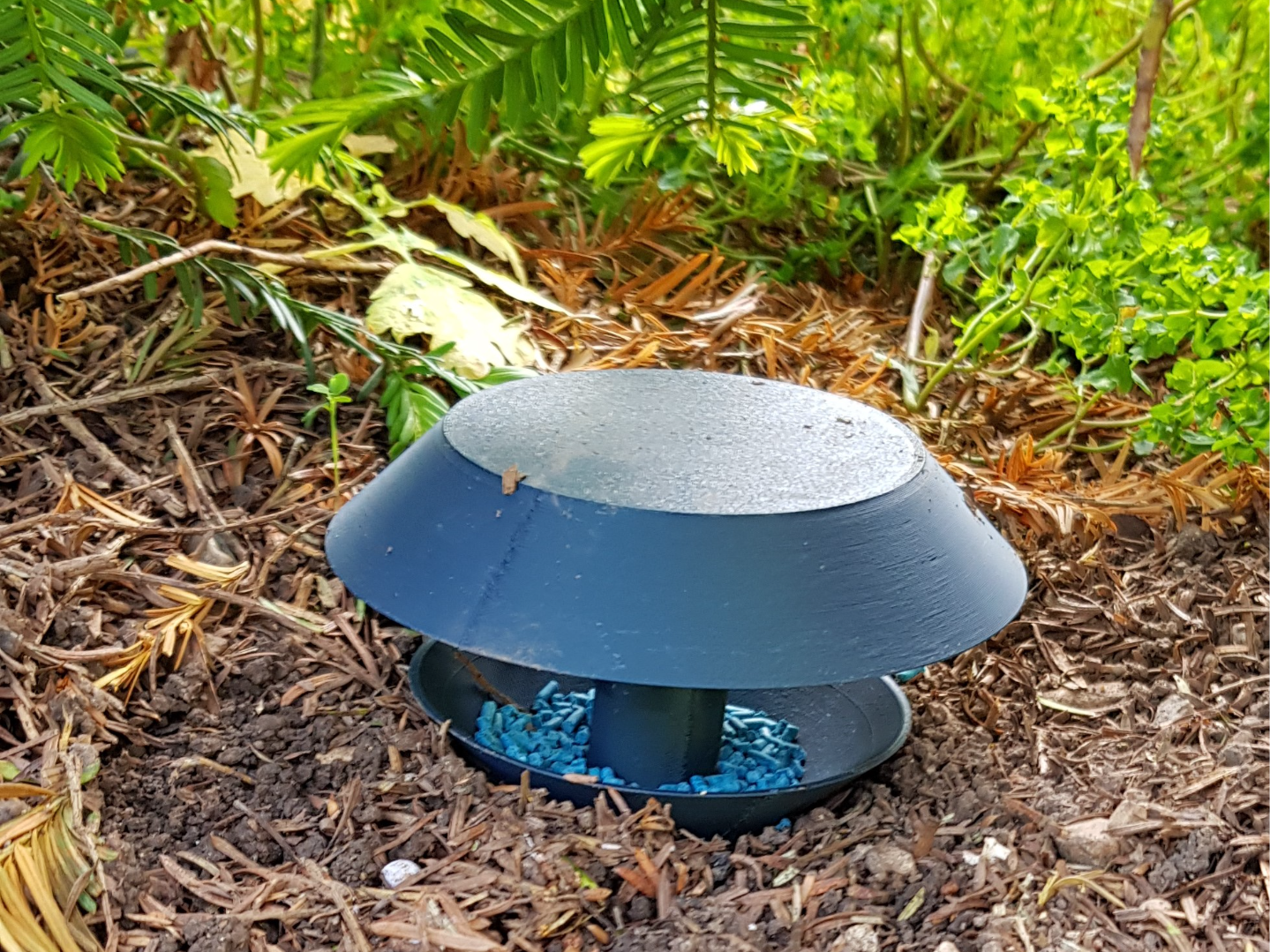 Snail Trap - Slug Trap