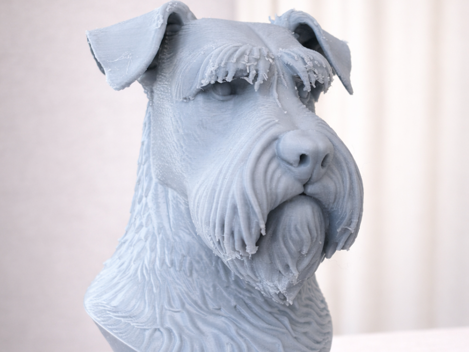 Busto di Schnauzer Cane