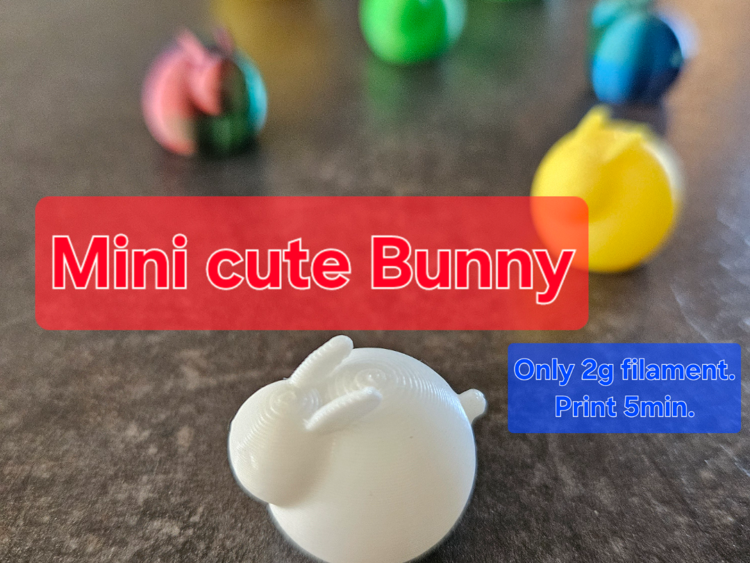 Mini Cute Bunny