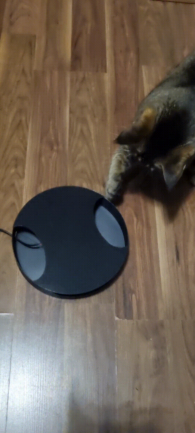 Cat Toy / katzenspielzeug