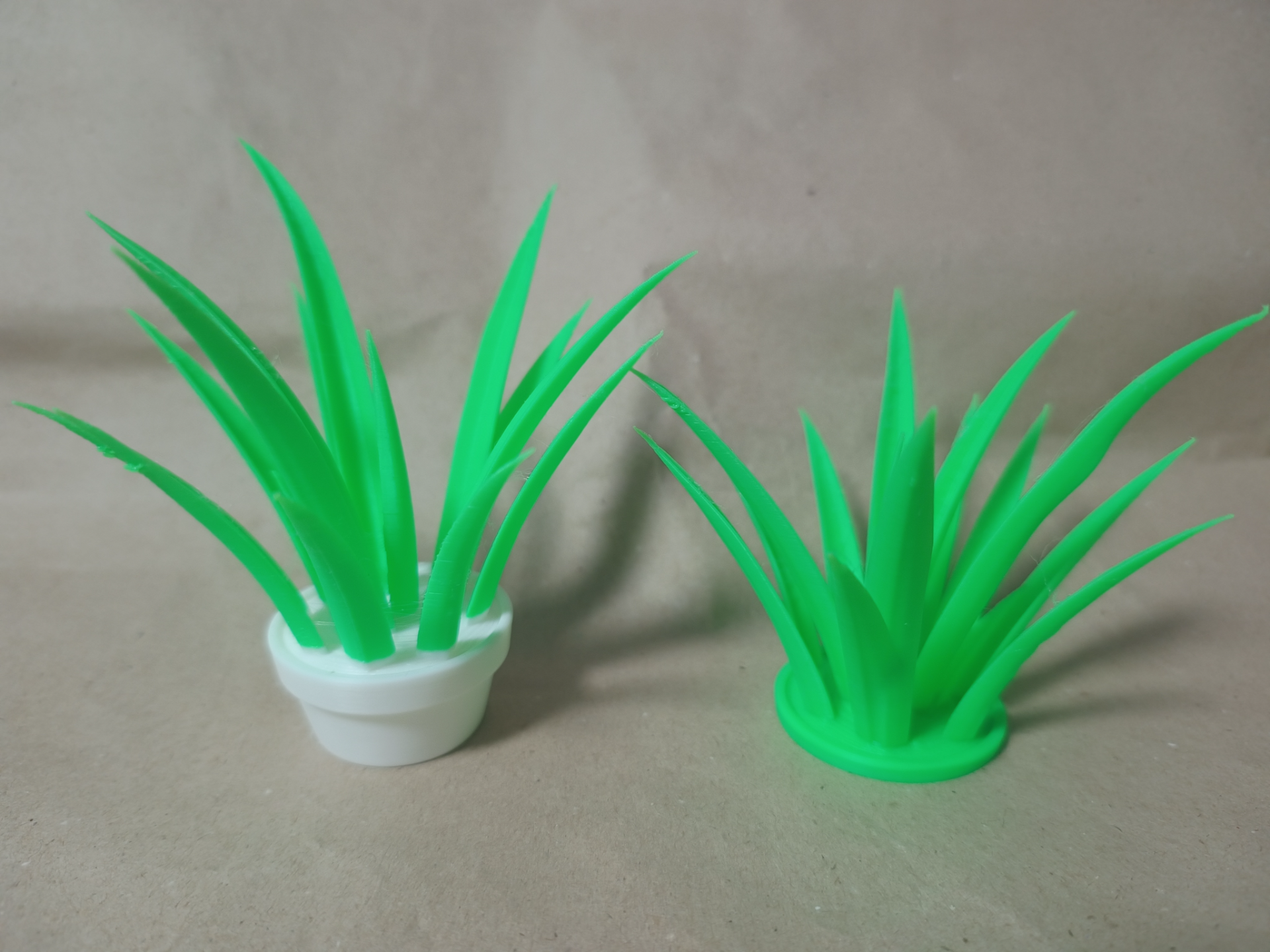Grass, Plant, Weed