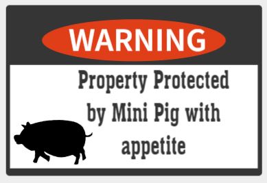 Mini Pig with Appetite warning sign