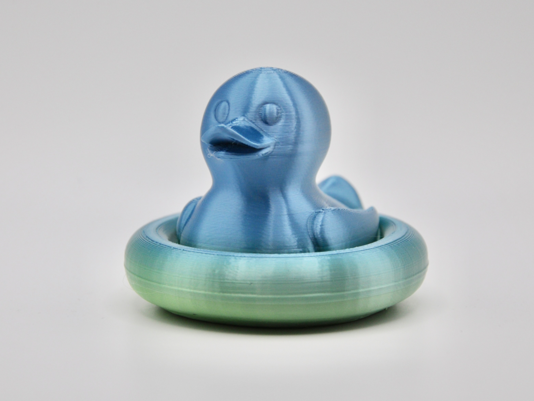 Inner Tube Duck