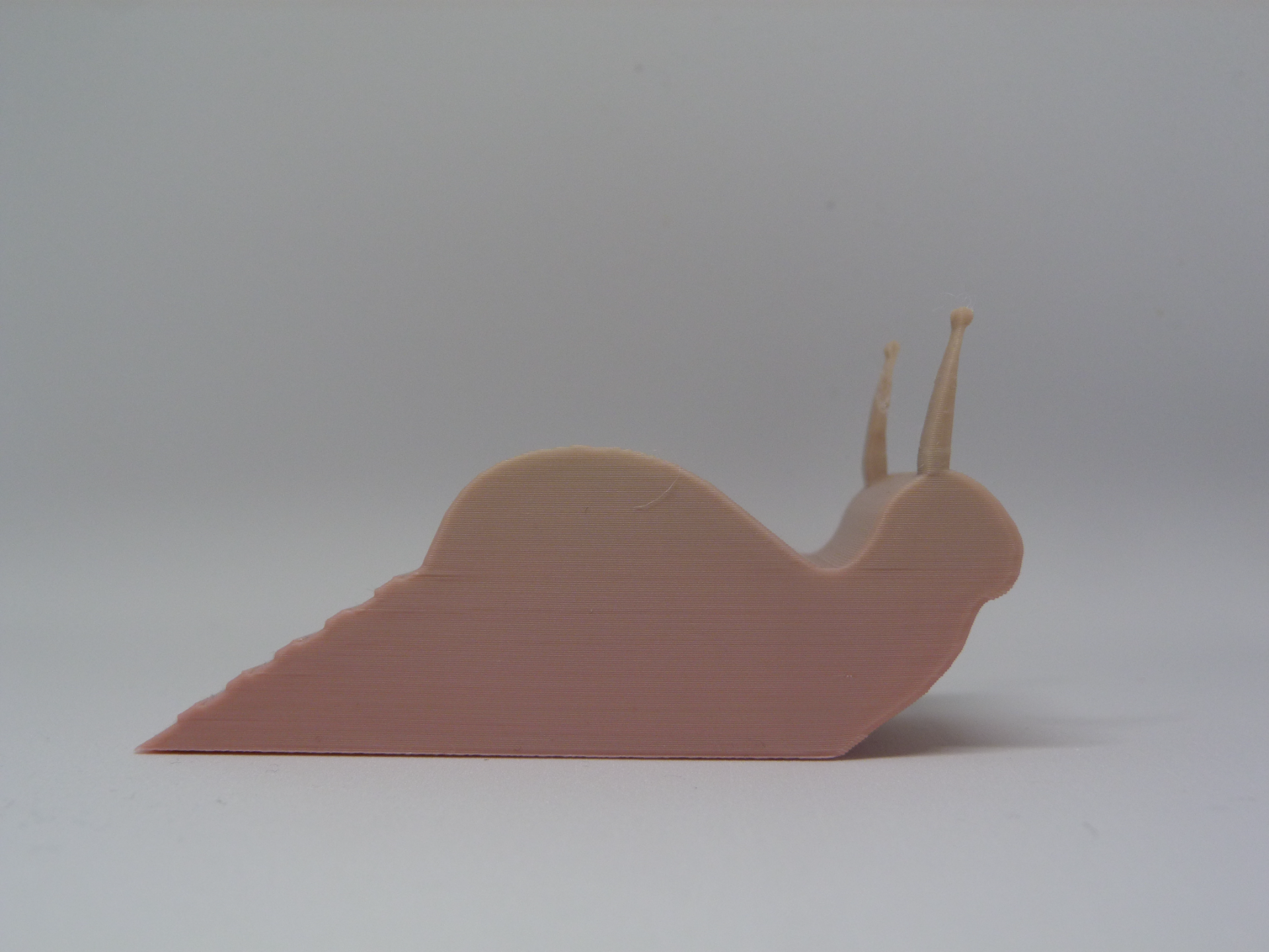 snail door stopper