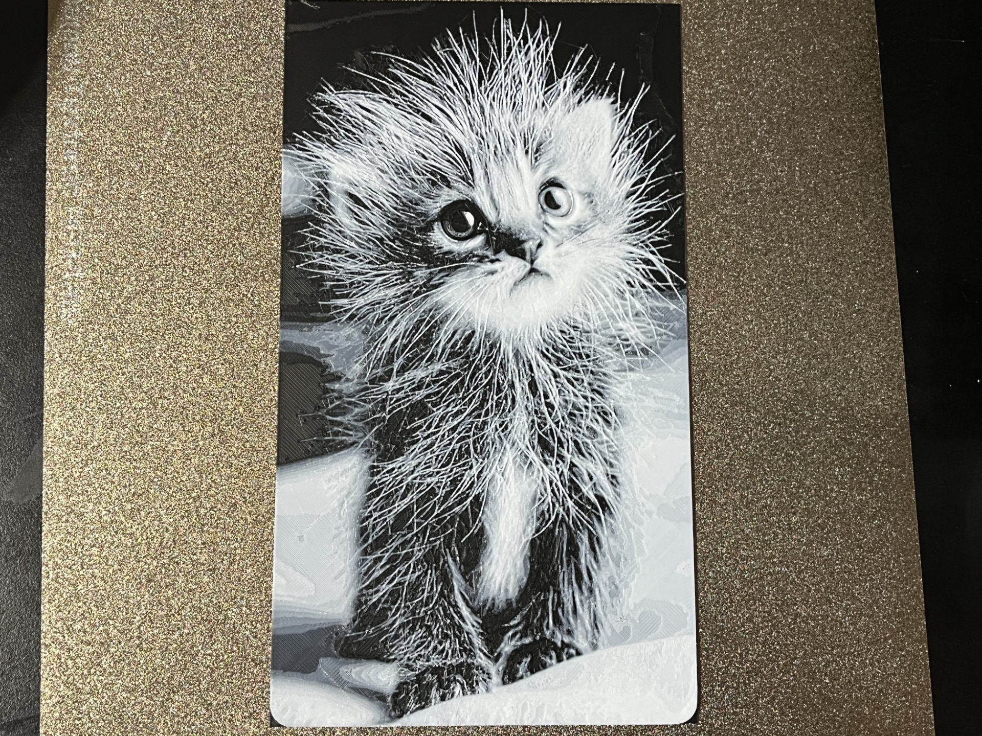 Curious Kitten Hueforge